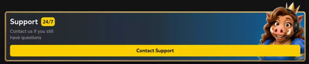 Kingia Casino Support